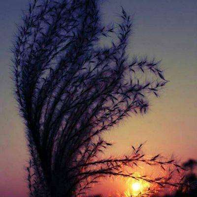 江南体育app官网入口网页